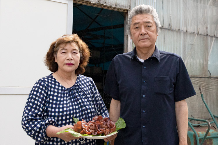 菌床しいたけ おおさわ