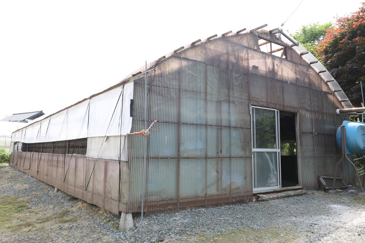 菌床しいたけ おおさわ 外観